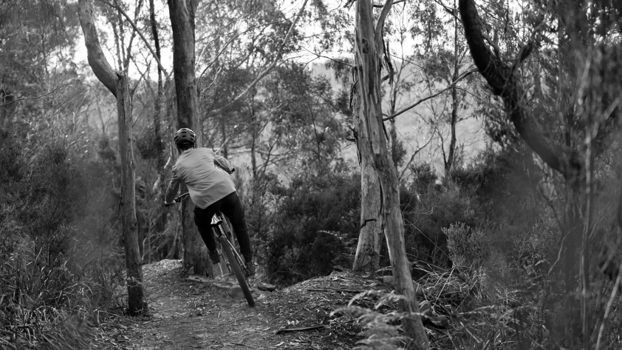 Tippogoree Hills Mountain Bike Trail Tasmania
